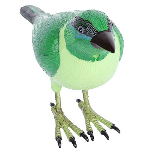 Vogel-Türklingel mit Fernbedienung, Laute und Süße Willkommens-Türklingel für Zuhause