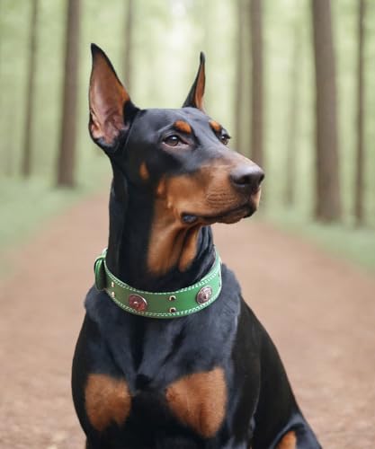 Hundehalsband Leder, 5 cm Breites Robustes Echtes Lederhalsband, Handgefertigt, Weich und Luxuriös, Auffällige Beste Wahl für Große und Mittelgroße Hunderassen, Grün S