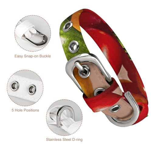 Collier réglable pour chien : stop aux fuites de vos petits animaux