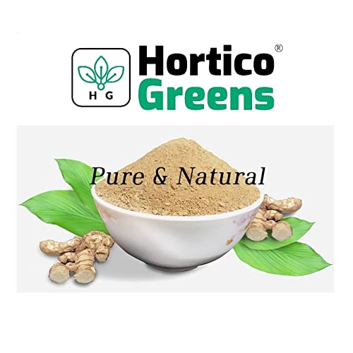 HorticoGreens Natural Haldi Kasturi Turmeric/Kasturi Manjal/Musk,Wild & White Turmeric/Jangli Haldi/Curcuma aromatica Powder | 50 Grams