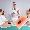Wound Packing Trainer, Dry Necrotic Wound Simulation Models for Medical Education, Wound Care Demonstrations Tool
