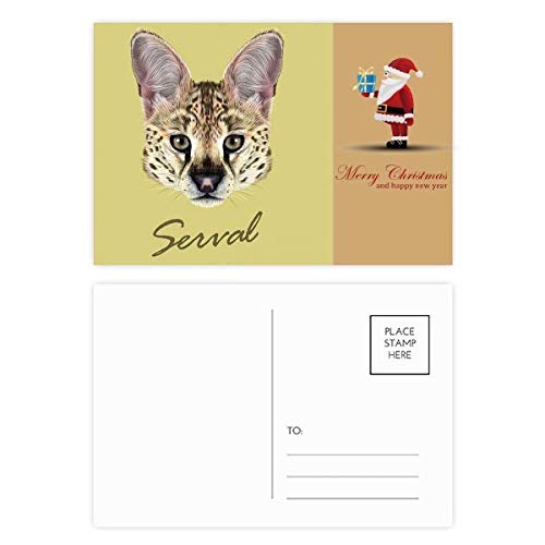 Cartes de Noël longues lot de 20 Père Noël pour accompagner vos cadeaux sous le sapin