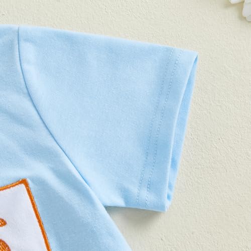 Image of Toddler Baby Boy Easter Rabbit Outfit Short Sleeve Bunny Carrot Smocked T-shirt Elastic Waist Shorts Summer Clothes