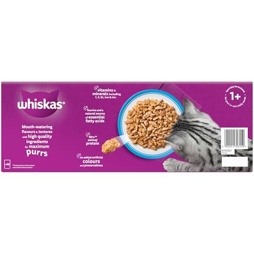 WHISKAS Adult Wet Cat Food in Jelly 40x85g Fish Favourites - Image 2