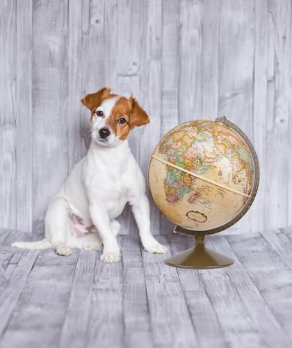 Replogle Globes Franklin World Globe, Antique Ocean, 12-Inch Diameter, Raised Relief (3-Dimensional Relief of Major Mountain Ranges). This Easy to assemble globe features over 4000 place names including political borders and provincial borders, shipping r