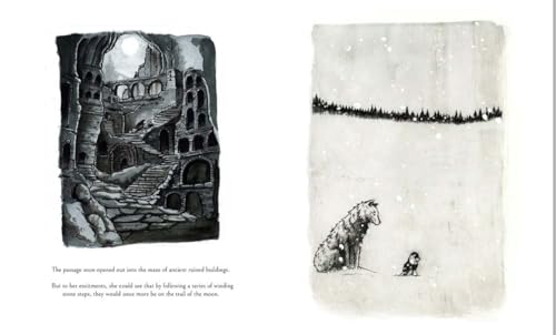 Following the Moon: A beautifully illustrated tale from the author of Big Panda and Tiny Dragon