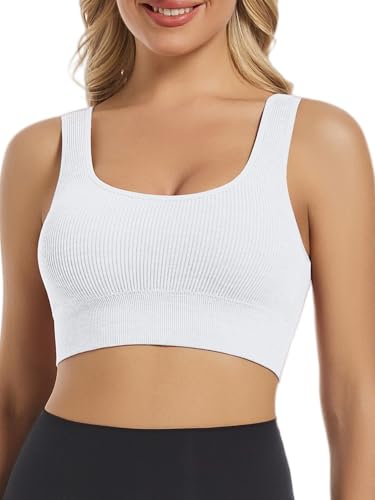 Image of Chilylori Seamless Sports Bras for Women Pack of 3 Ribbed Sports Bra Workout Tops Cropped Tank Top Comfort Padded Yoga