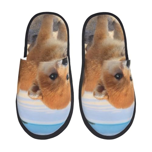 [JECASS] Cӂ̎q lC v[g Aj Xbp  Y 􂦂 gC qp p E Xbpjp LN^[ ObY  fB[X ~ 킢 qpm