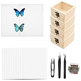 Herstellung von Insektenproben Werkzeug Kit,4 Insekt Vitrine 10 Flügel Presspapier 200 Insektenstiften 2 EVA Butterfly Montagetafeln 2 Pinzette 1 Schere,Insektenproben Sammeldisplay für Käfer