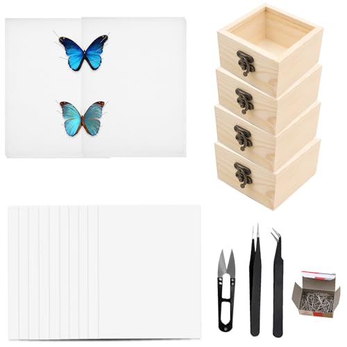 Herstellung von Insektenproben Werkzeug Kit,4 Insekt Vitrine 10 Flügel Presspapier 200 Insektenstiften 2 EVA Butterfly Montagetafeln 2 Pinzette 1 Schere,Insektenproben Sammeldisplay für Käfer