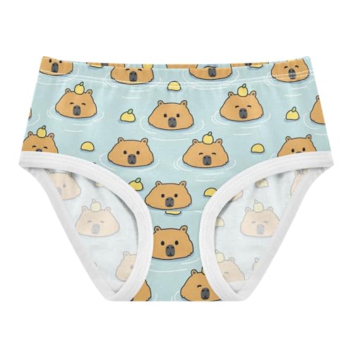 JHKKU Little Girl Briefs Cute Capybara Underwear Soft Cotton Toddler Panties Breathable Comfort Kids Undies 8Y