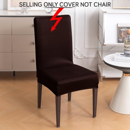 Image of HOKIPO 'SereneSolids' Stretchable 140 GSM Dining Chair Cover, Fully Covered - Set of 4, Coffee (AR-6246-CFE)