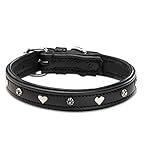 Jack & Russell Hundehalsband Leder schwarz mit Applikationen Herz & Blume – Doppellagiges Echt-Leder-Hunde Halsband Coer (M (34.5-43.0))