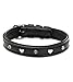 Jack & Russell Hundehalsband Leder schwarz mit Applikationen Herz & Blume – Doppellagiges Echt-Leder-Hunde Halsband Coer (M (34.5-43.0))