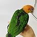 Adjustable Bird Harness with 78.7 Inch Leash, Outdoor Flying Training Rope Kit for Bird Parrots, Parrot Flying Rope Straps Outdoor Training Traction Rope for Small Medium Large Size Birds (L)