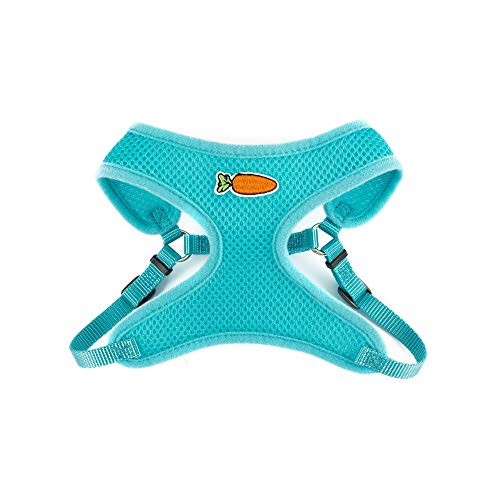 Ancol Small Animal Mesh Harness an Lead Large Teal, 1 kg