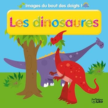Board book Les dinosaures [French] Book