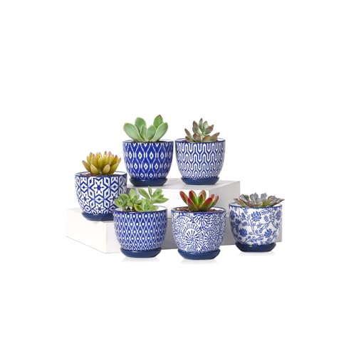 Selamica Ceramic Succulent Pots with Saucers (Set of 6)