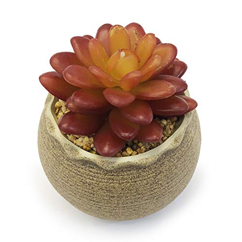 allgala Small Desktop Artificial Succulent Plant Indoor and Outdoor Indoor Fake Plants with Natural Clay Pot