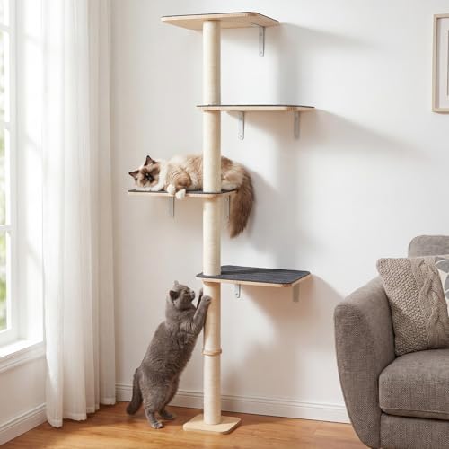 Veehoo Wall Mounted Cat Tree for Large Cats 66 Tall Cat Wall Climber with Large Perches and Non-Slip Carpet Cats Wall Shelves Furniture for Climb Scratch Lookout and Play
