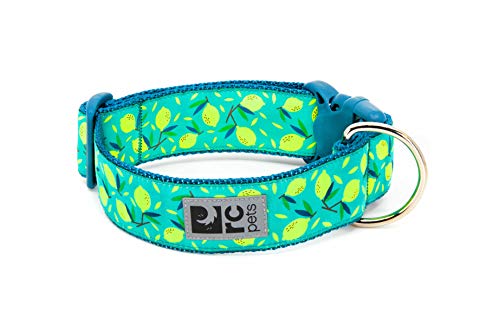 RC Pets 1-1/2 Inch Wide Adjustable Dog Clip Collar, Medium, ...