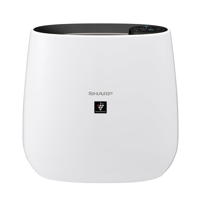 portable air purifier for office desk