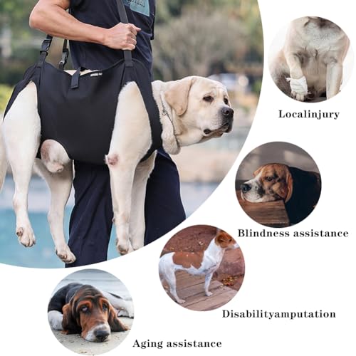 Umllpet Hunde Tragehilfe, Tragehilfe Hund Treppe, Tragbares Hundegeschirr, Verstellbare Gehhilfe für Hunde, Hundtragegurt für Kranke oder ältere Hunden,Ganzkörperhebehilfe für Mittlere Hund(Schwarz,M)