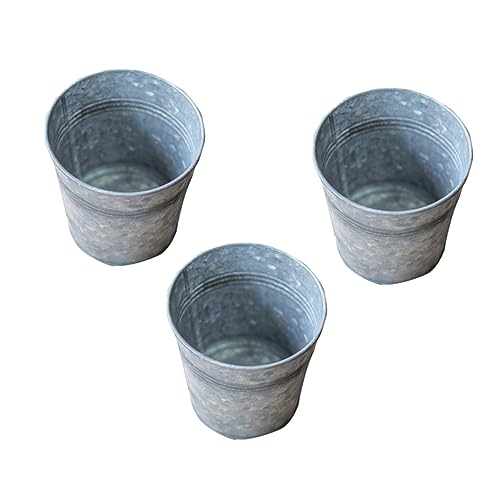 Toyvian 3 Piezas Maceta para Suculentas Cubo De Hierro Retro Contenedor De Jardinería Cubo para Flores Maceta De Hierro Suculentas Adorno De Flores Barreño Galvanizado