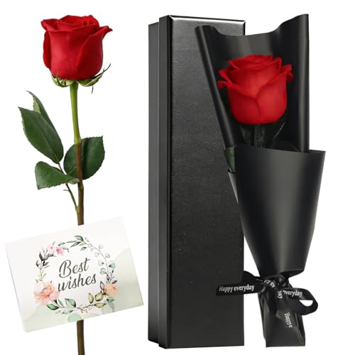 HIVTE Rosa eterna vermelha, flor preservada com talo, rosa real natural, presente de dia dos namorados, Natal, aniversário e dia da mãe para mulher, namorada, esposa