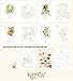 Four Seasons Coloring Book - Beautiful Days of Green Ivy 사계절 컬러링북