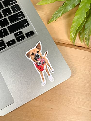 Custom Photo Sticker Pet Sticker, Laptop Bundle, Car Decal Your Photos Pictures On Wall Decor Prints With For Animal, Full Size: 2X2 Inch; 3X3 4X4 6X6 Inch #TOP2