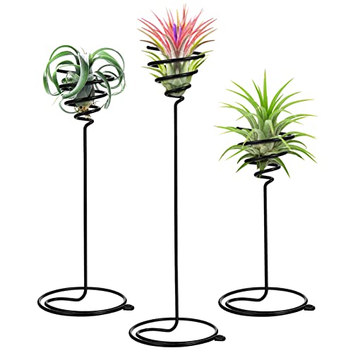 VILLCASE 3pcs Air Plant Holder, Airplant Rack Metal Plants Stand, Airplant Container Tillandsia Holder - Image 2