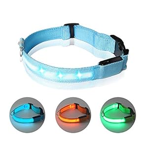 Led-hondenhalsband, oplaadbaar, USB, 3 knippermodi, veiligheidshalsband voor huisdieren, in lengte verstelbaar, voor honden en katten (blauw, M)