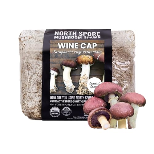 North Spore Organic Wine Cap Mushroom Sawdust Spawn