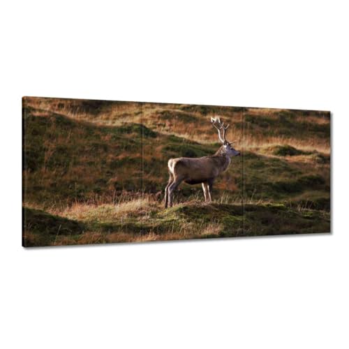 Tableau cerf nature pour créer une ambiance chalet au salon