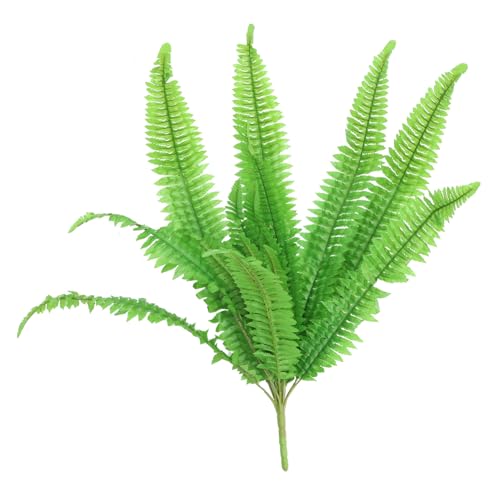 Phantasmia tFCNO[ Ǌ|p ݂艺A  V_ lHϗtA z[p[eB  CeAfR[V