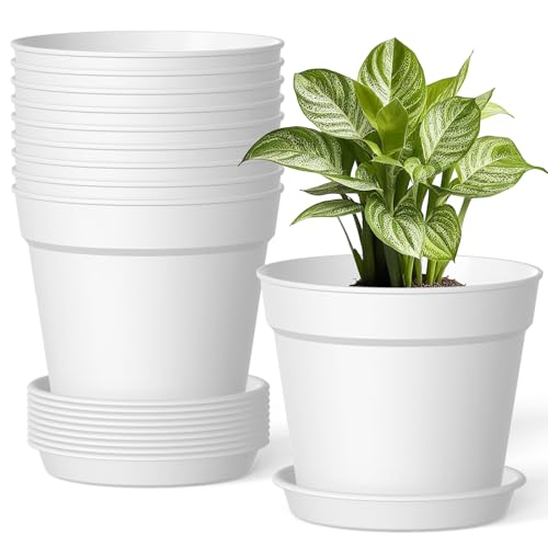 SwinDuck 10 Pack 6 Inch Plant Pots with Drainage and Saucers, White Plastic Flower Pots for Indoor and Outdoor Plants, Stackable Nursery Planters for Houseplants and Herbs, White