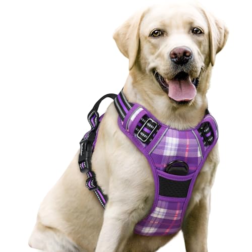 Image of rabbitgoo Dog Harness No Pull with 2 Leash Clips, Adjustable Soft Padded, Reflective Oxford No Choke Pet Vest with Easy Control Handle for Large Dogs, Purple Plaid, L
