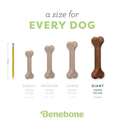 Image of Benebone Bone Durable Dog Chew Toy for Aggressive Chewers, Real Bacon, Made in USA, Giant