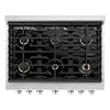 ZLINE 36 in. 5.2 cu. ft. Paramount Dual Fuel Range with Gas Cooktop and Electric Convection Oven in Stainless Steel with 6 Brass Burners (SDR-BR-36)