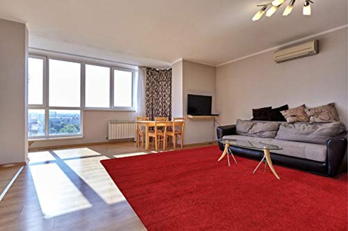 Bargains Hut Tapete de toque macio moderno e grosso para casa, sala de estar, escritório, tapete de 55 mm, sem cobertura, tamanho pequeno, tamanho grande, 160 x 230 cm (1,5 m 7,6 cm x 2,1 m)