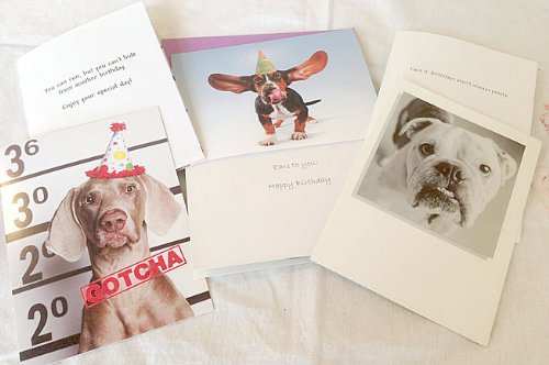 Bulk Savings-40 Funny Birthday Cards-Styles May Vary-Great For Mom,,Grandchildren,Grandma,Grandpa,Wife, And Relatives- Styles May Vary #TOP1