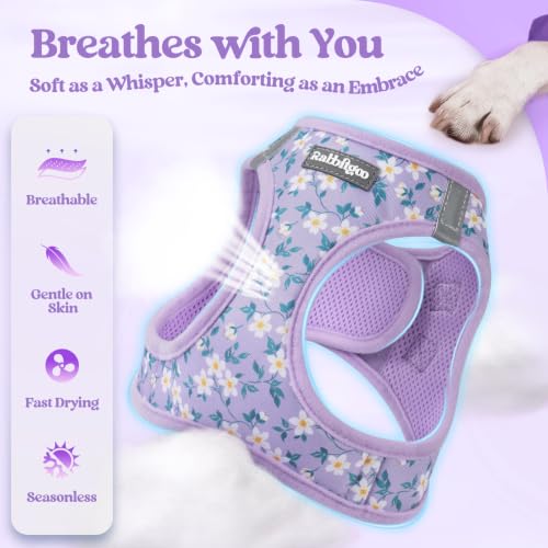 Image of rabbitgoo Dog Harness Medium Sized and Leash Set, Step-in Puppy Pet Vest