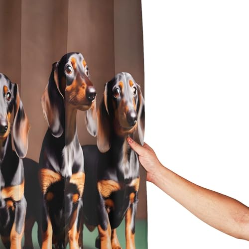 Rideau de douche teckel anti-moisissure en polyester imperméable 183x183cm