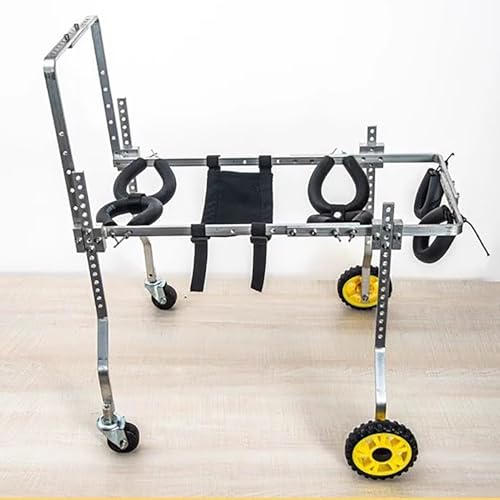 Silla de ruedas para perros y gatos lesionados ideal para paseos diarios
