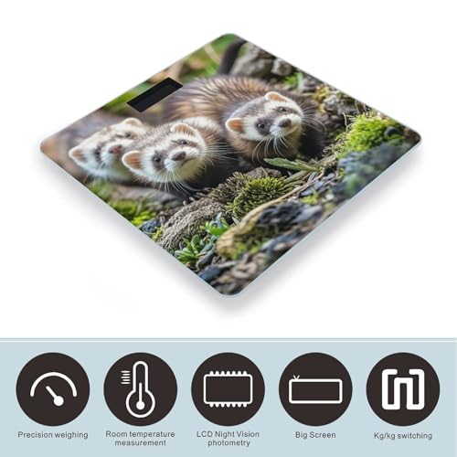 Báscula de Baño Digital Ferrets con Vidrio Templado miniatura 3