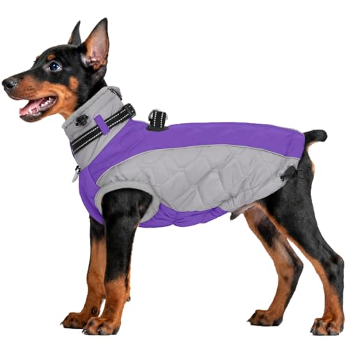 Dog Coats for Medium Dogs Waterproof, Windproof Winter Clothes with D Ring & Adjustable Buckles, Thick Fleece Vest Puffer Jacket, Reflective Dog Coat with Zipper-M Purple