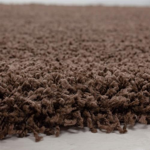 Image of AROMICK Modern Polyester Anti Slip Shaggy Fluffy Rug and Carpet for Living Room, Bedroom & Dining Room (4 x 6 Feet, Brown)