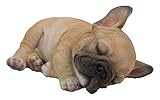 French Bulldog - Sleeping French Bulldog Puppy Statue for Home Garden and Outdoor Decor - Realistic Lifelike Figurine - Made of Polyresin - Colour : Brown 3.3'' H x 4.6'' W x 7'' D