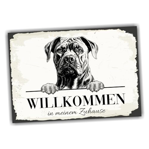 siviwonder Hundeschild Willkommen Zuhause Cane Corso No.3 Dog Schild Spruch Türschild Warnschild Geschenkidee schöner Spruch Hundemotiv Aluminium Wetterfestes Hundeschild
